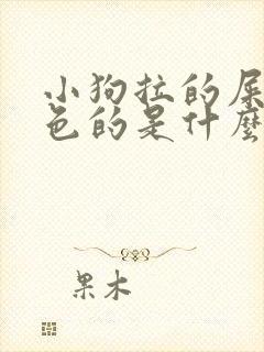 小狗拉的屎是白色的是什么原因