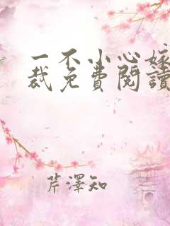 一不小心嫁了总裁免费阅读