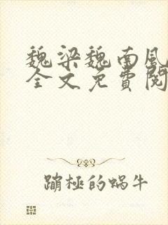 魏梁魏南风po全文免费阅读笔趣阁