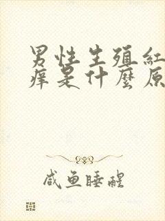 男性生殖红肿瘙痒是什么原因