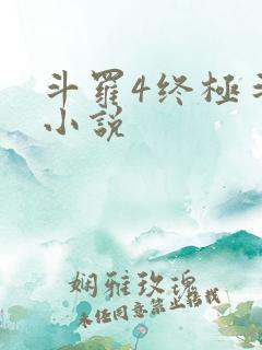 斗罗4终极斗罗小说