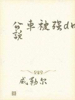 公车被强d肉小说