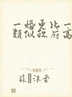一婚更比一婚高类似政府高干
