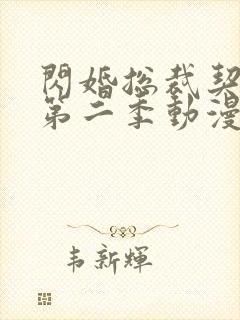 闪婚总裁契约妻第二季动漫