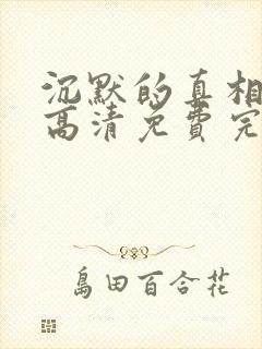 沉默的真相全集高清免费完整版