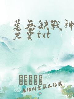 叶无缺战神狂飙免费txt