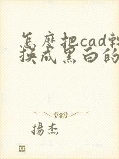 怎么把cad转换成黑白的pdf