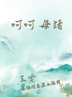 呵呵 母猪
