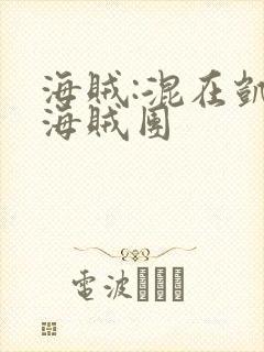 海贼:混在凯多海贼团