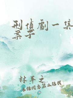 刑侦剧一集一个案子