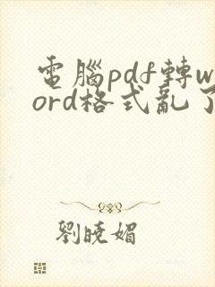 电脑pdf转word格式乱了怎么调整