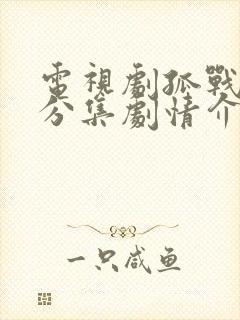 电视剧孤战迷城分集剧情介绍