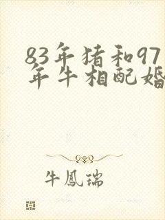 83年猪和97年牛相配婚姻如何