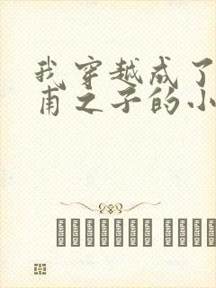 我穿越成了李公甫之子的小说