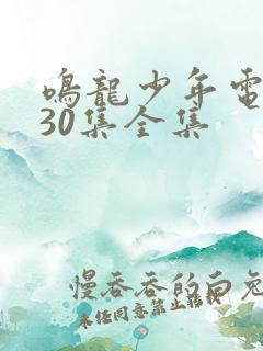 鸣龙少年电视剧30集全集