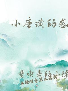 小唐璜的感情史