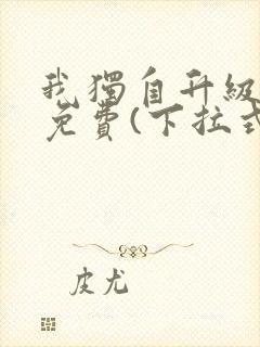 我独自升级漫画免费(下拉式)