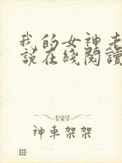 我的女神老婆小说在线阅读