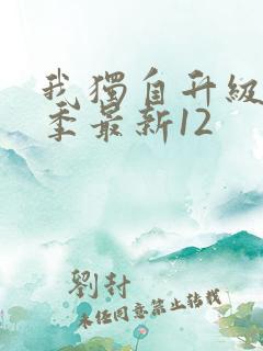 我独自升级第二季最新12
