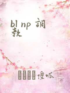bl np 调教