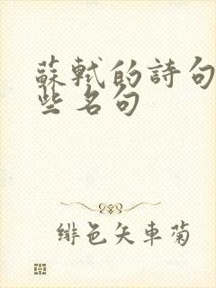 苏轼的诗句有哪些名句