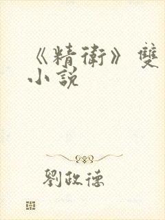 《精卫》双男主小说