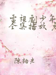 电视剧少年派2全集播放 免费