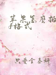 苹果怎么拍pdf格式