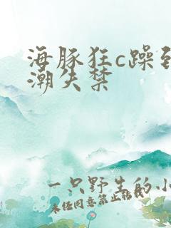 海豚狂c躁到高潮失禁