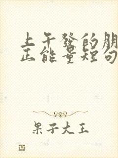 上午发的朋友圈正能量短句文案