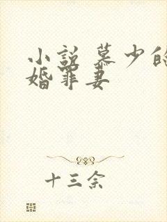 小说 慕少的隐婚罪妻