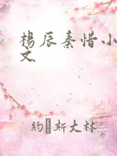 杨辰秦惜小说全文
