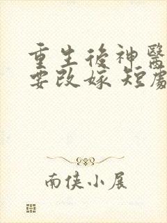 重生后神医王妃要改嫁 短剧
