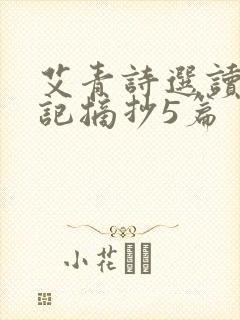 艾青诗选读书笔记摘抄5篇