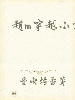 赵m穿越小说