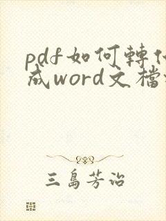 pdf如何转化成word文档格式