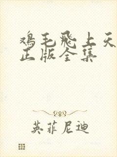 鸡毛飞上天高清正版全集