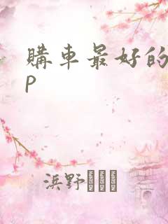 购车最好的app