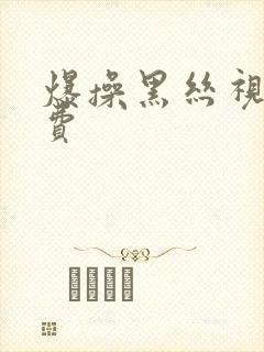 爆操黑丝视频免费