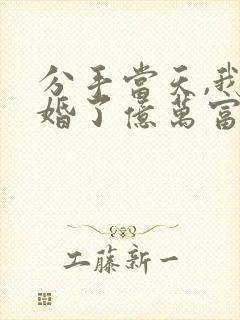 分手当天,我闪婚了亿万富豪短剧