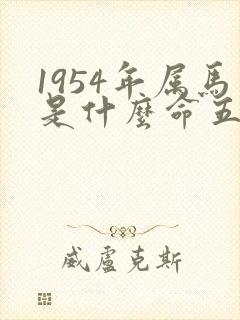 1954年属马是什么命五行属什么