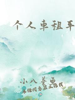 个人车租平台