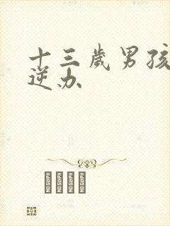 十三岁男孩的叛逆办