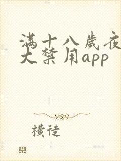 满十八岁夜里十大禁用app