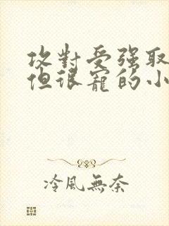 攻对受强取豪夺但很宠的小说