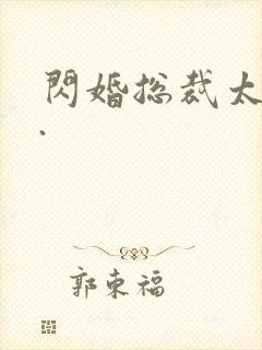 闪婚总裁太霸道.
