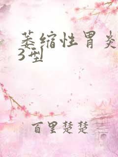萎缩性胃炎c一3型