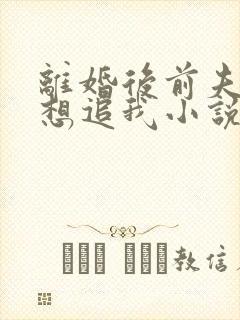 离婚后前夫总是想追我小说