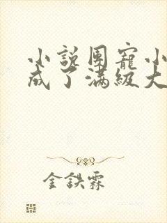 小说团宠小可爱成了满级大佬之