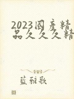 2023国产精品久久久精品双